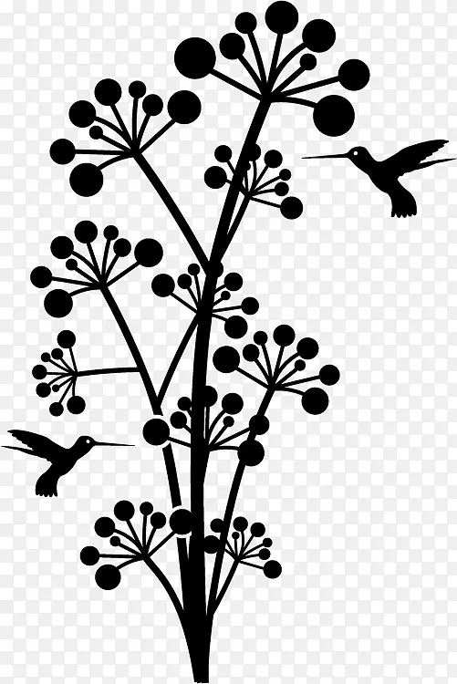 ֲ�ﾥ����ֲ��Ҷ��-����-������