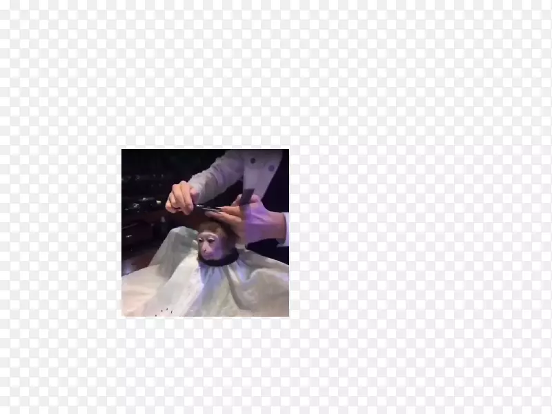 ��ָ���ͺ�ģ���˷�ɫ��-������