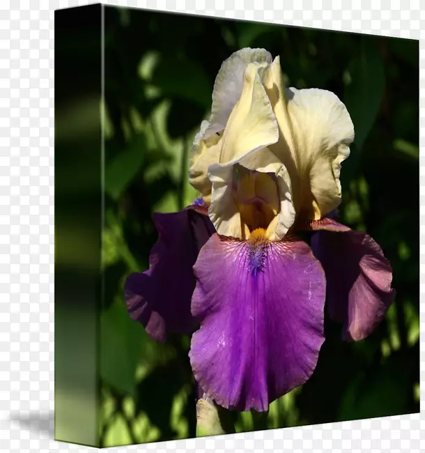 ����˹����Ĥ-��Ĥˮ��-������