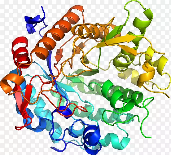 ���������л����߼�������-������