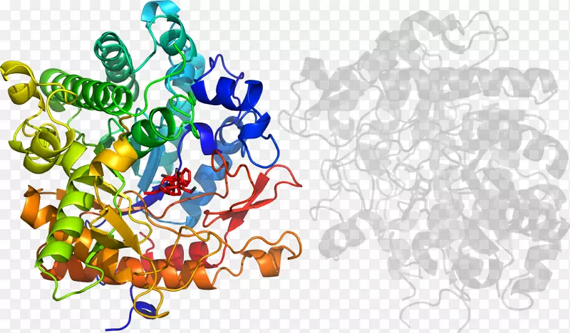 ��ľ������-��-������