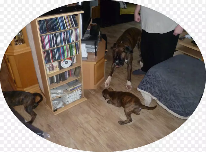 Ȯ��-������