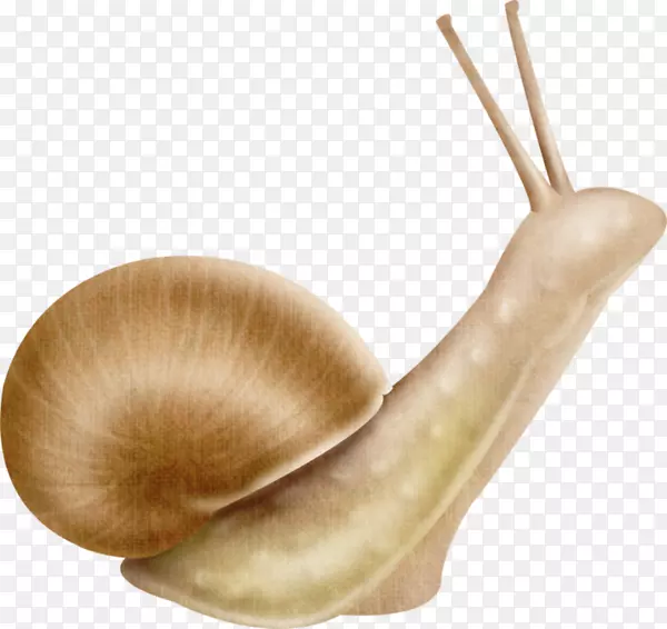 ��ţ������桢���桢½����ţ-��ţ-������