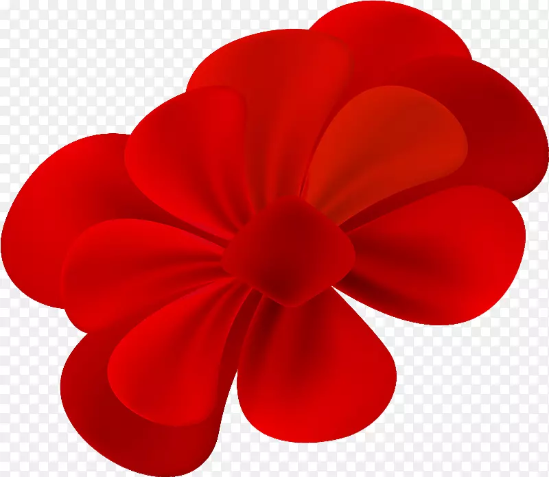 ��-������2018�꿪��ֲ��-������