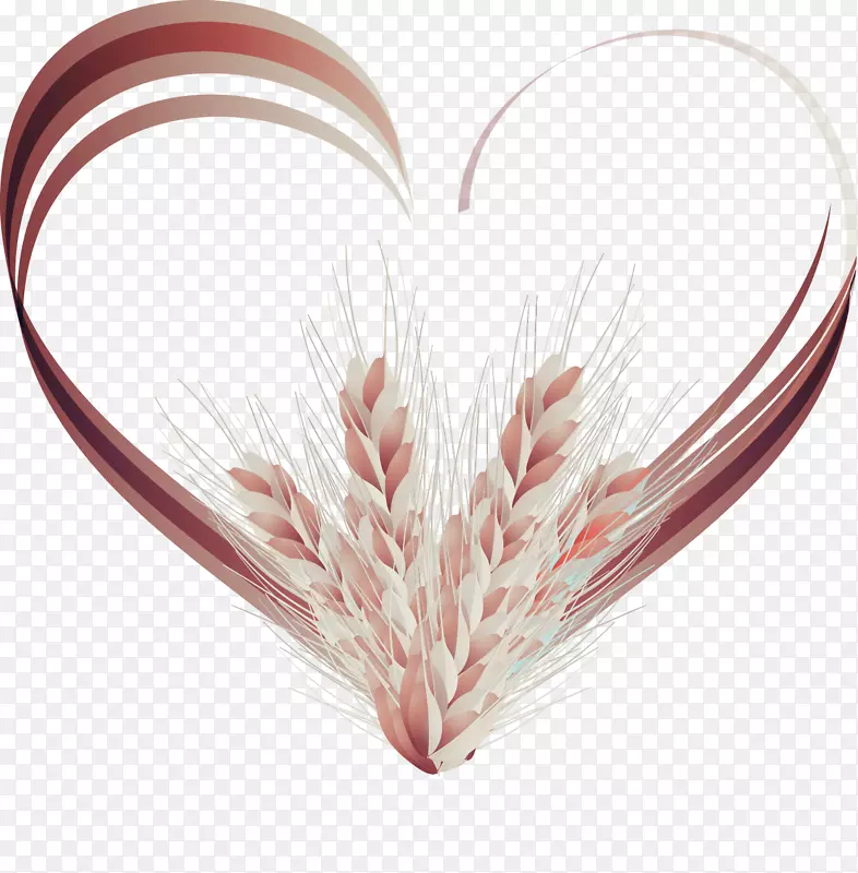 Adobe�廭��-��С��-������