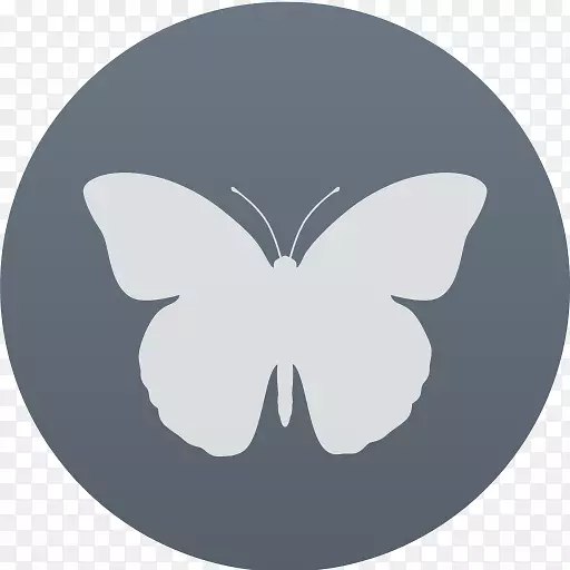 �仯�Ļ��Ҵ�������ķ·������-���п���˹��ʥ����-������