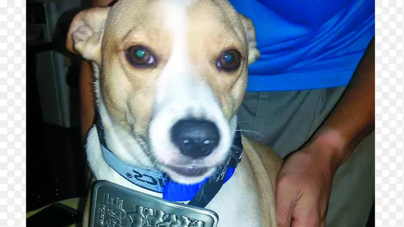 ������ҹ�����-�Ѽ�-������