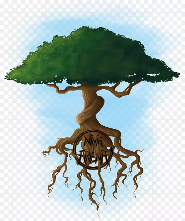 ������ֲ��-��-������