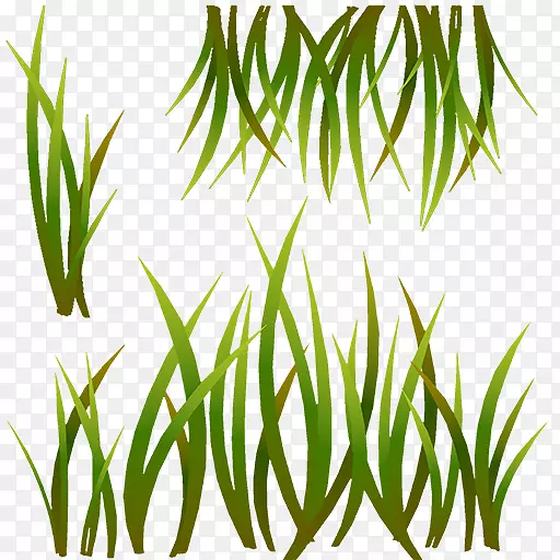 ���ֶ���¯Ҷֲ�ﾥ��������м-������