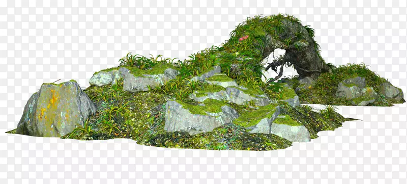 ��-��-������