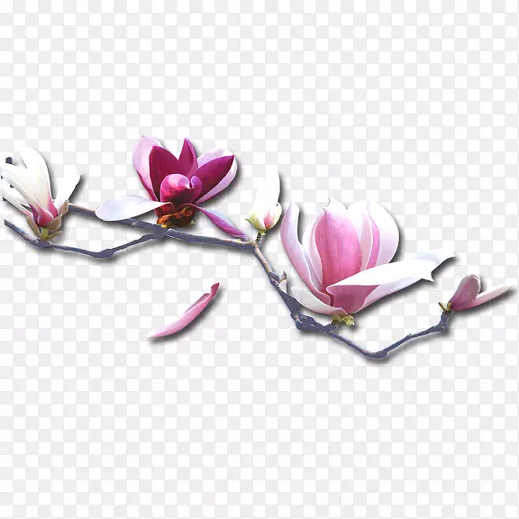 �ϰ��-������