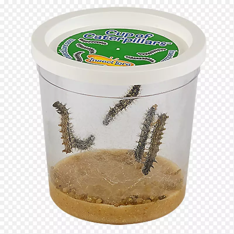 ����԰������֪ʶë��-����-������