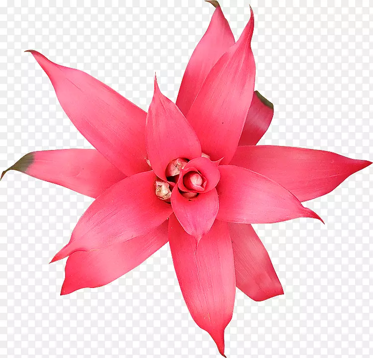 ���꿪��ֲ���л��ۺ�m-300 dpi-������