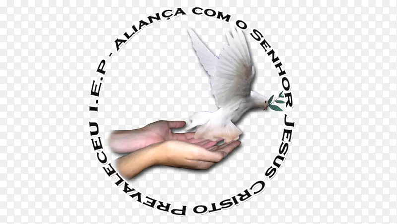 ������-��-������