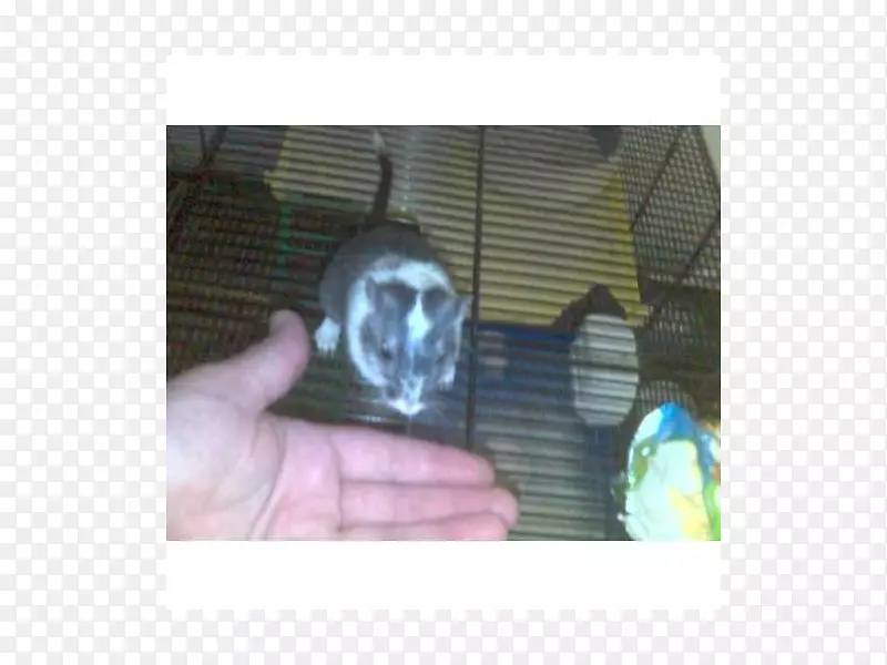 ǰ�յ����ϲ���������.Smirnoff-������