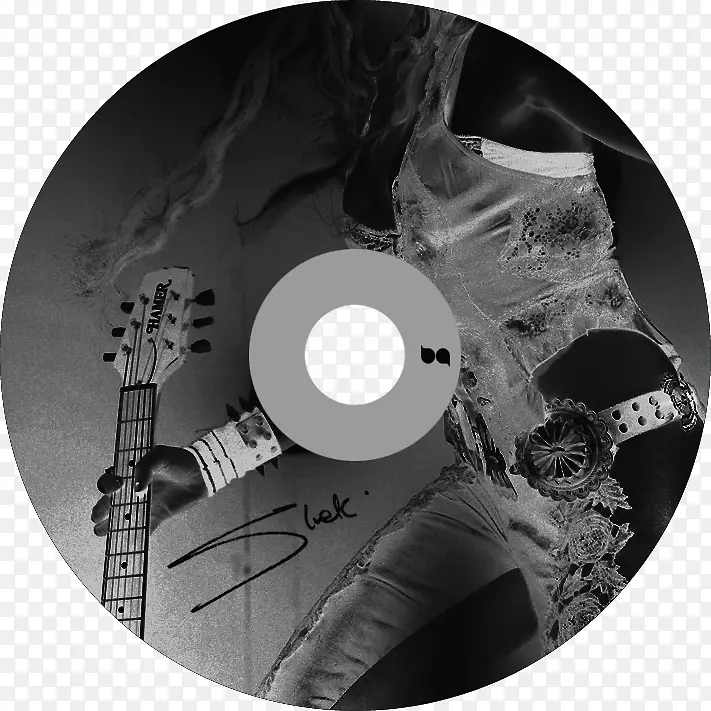 ���̳����ƴ��̴洢��-������-������