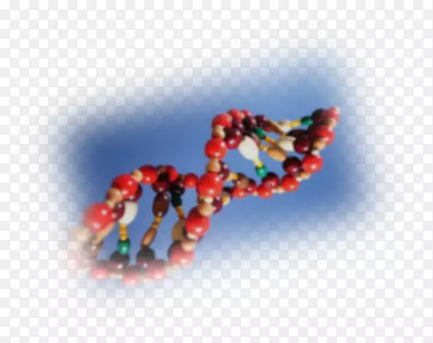 �鱦����-������