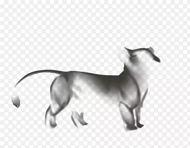 ����è����ֳ����è-������