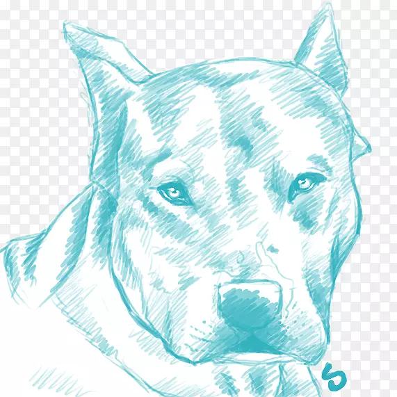 ����è����ֳ����è-������