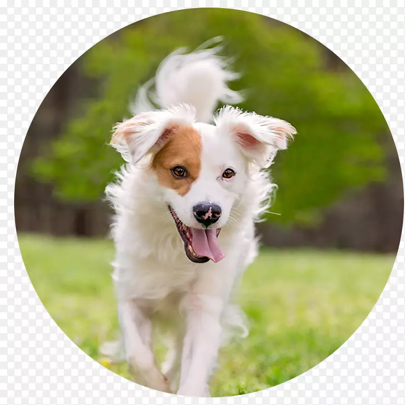 ��������Ȯ��������Ӱ��С��-������