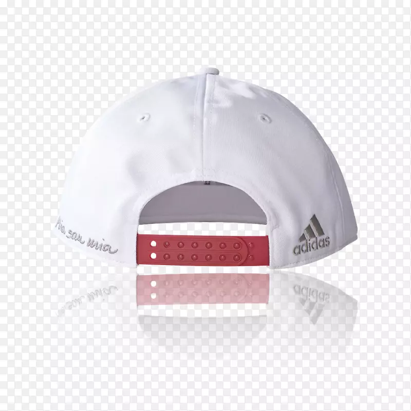 ����ñ����Ľ���ƽñ���ϴ�˹ñ-������