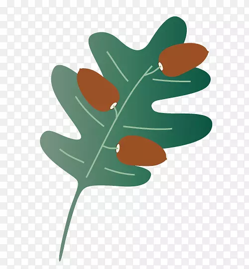 Ҷֲ�ﾥ������-������