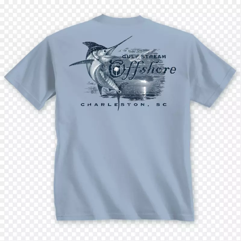 t�����ӱ�־����-t��-������