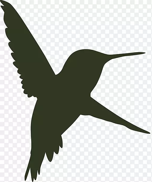 ��񣬳��Ұ�������ë��-������