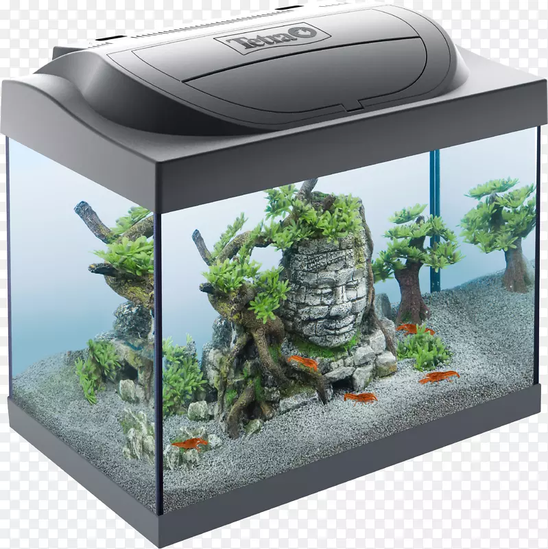 ˮ����Ľ������㲣�����-������