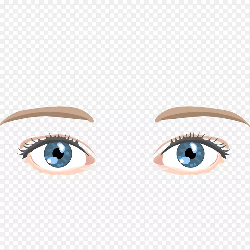 ��ͨüë����.��ͨ�۾�üë�ʼ�����-������