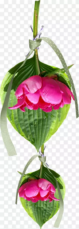 �������-�廨����-������