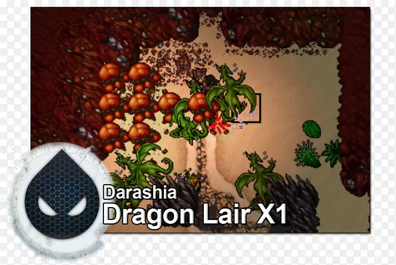 ʥ����Ʒ��-ʥ����-������