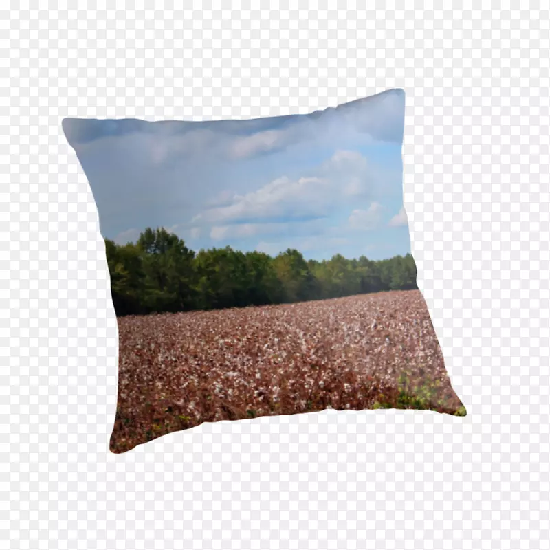 ����Ͷ����ͷ��������ͷ-������