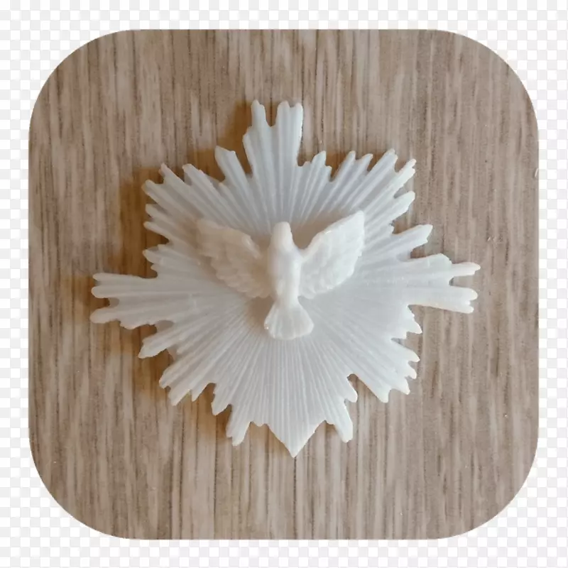 ���ǵ�Aparecida��֬Ůʿ������Ϸ佺-������