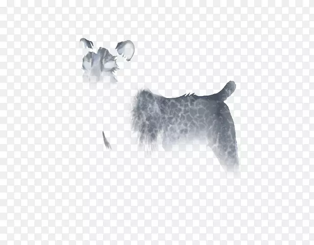 ����С������-С��-������