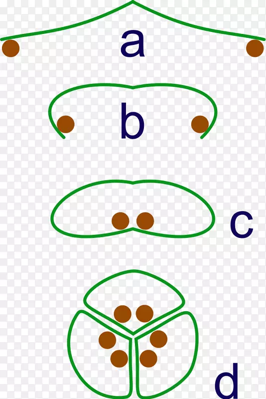 ֲ��Ŀ���������ʷ-��-������