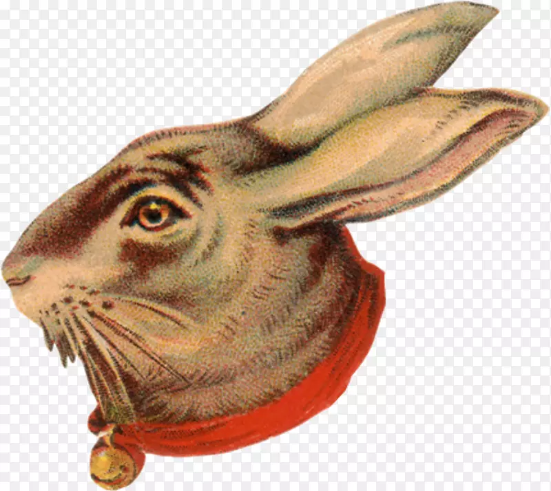 ����Ұ��Ұ������-����-������