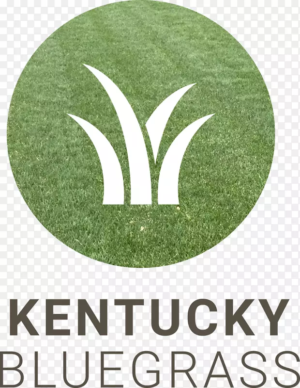 ��־����ɫƷ������-����-������