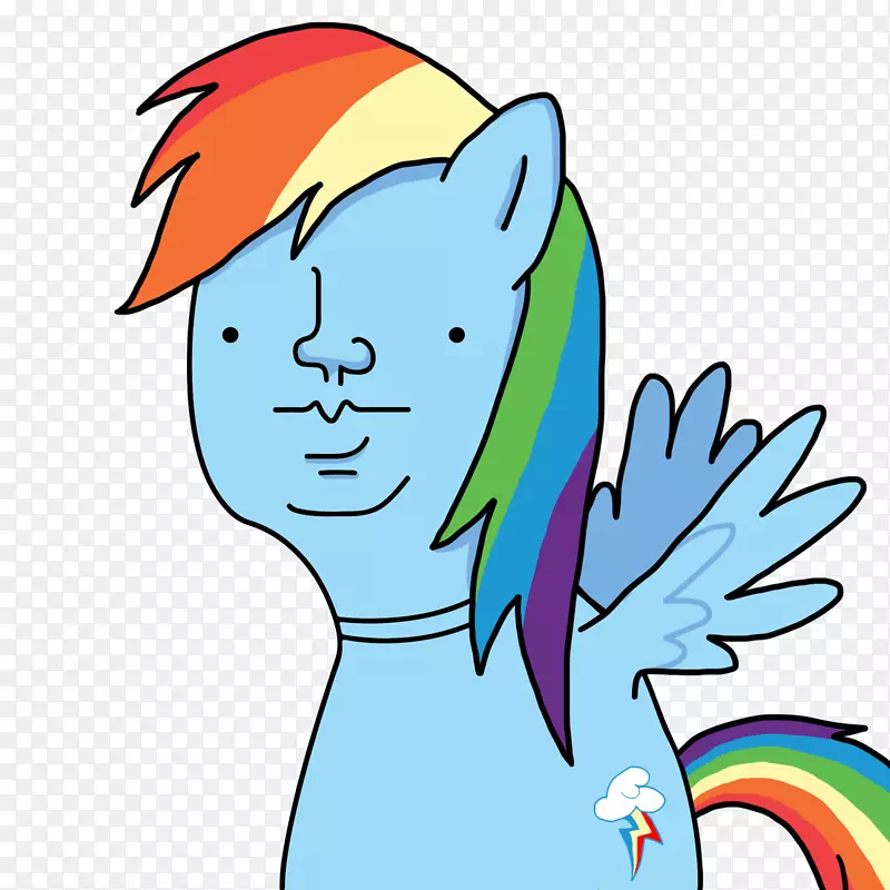 ����������װ�������������-������