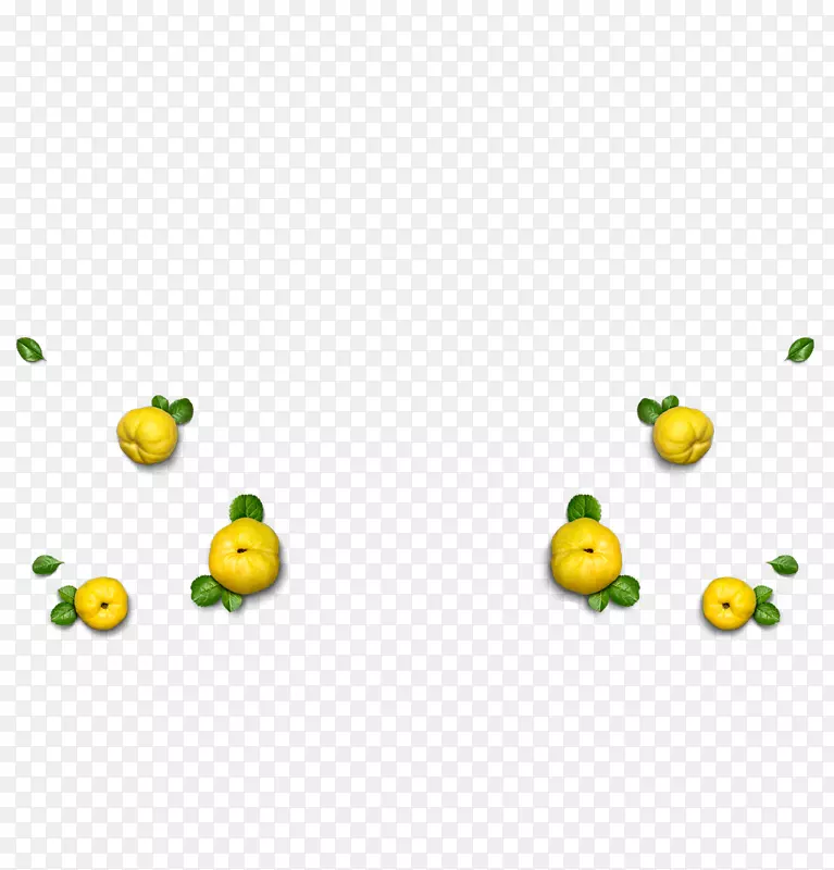 Ц�����鱦���ֶ�������-Ц��-������