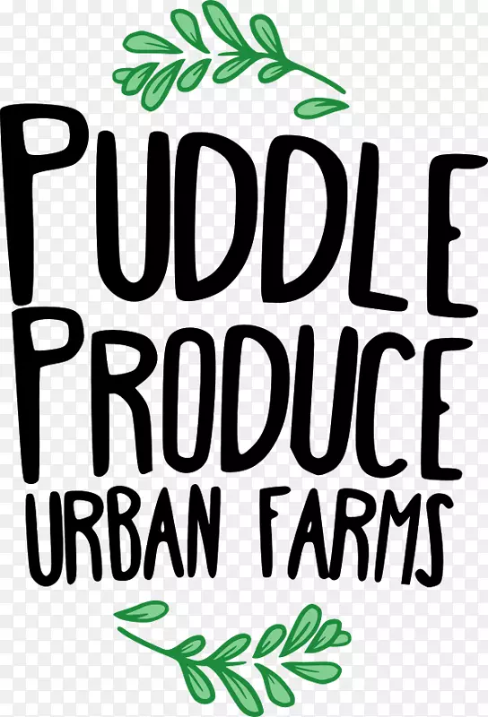 ��־������������-������