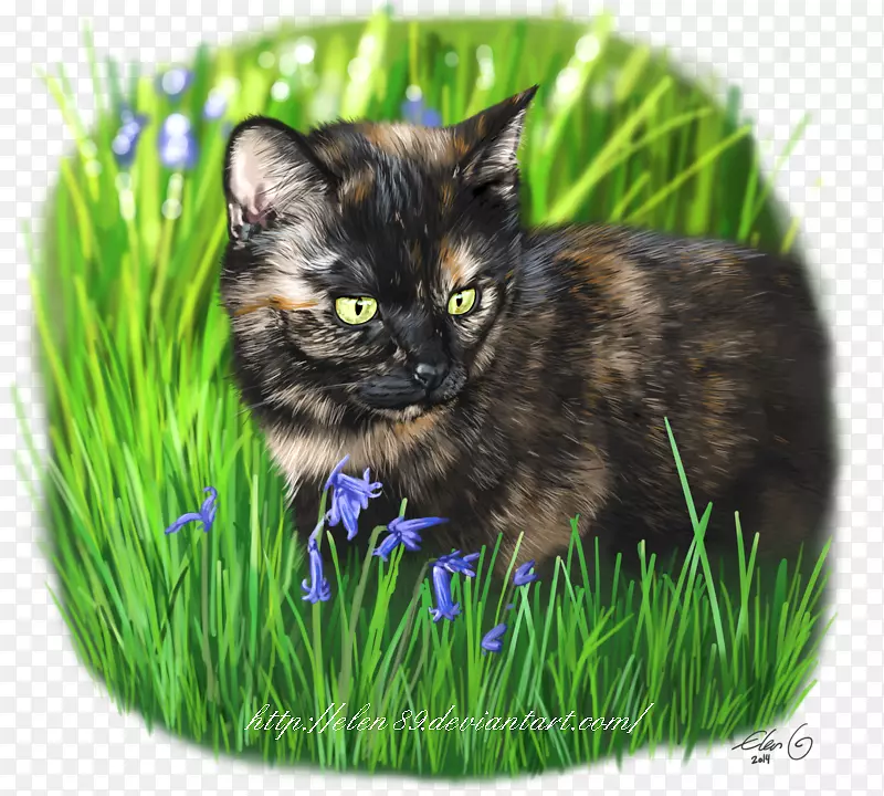 ������ëè�ƶ������è-������