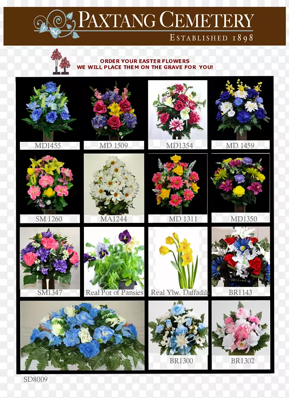 ��������л�ֲ�ﻨ��-������