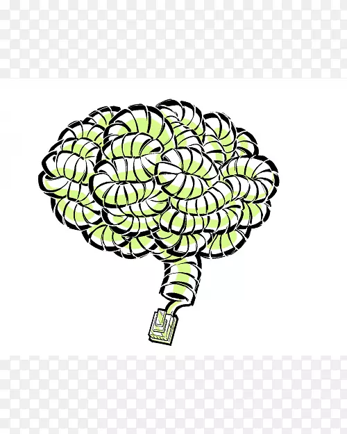 Ҷ����ֲ�����̼�����-Ҷ-������