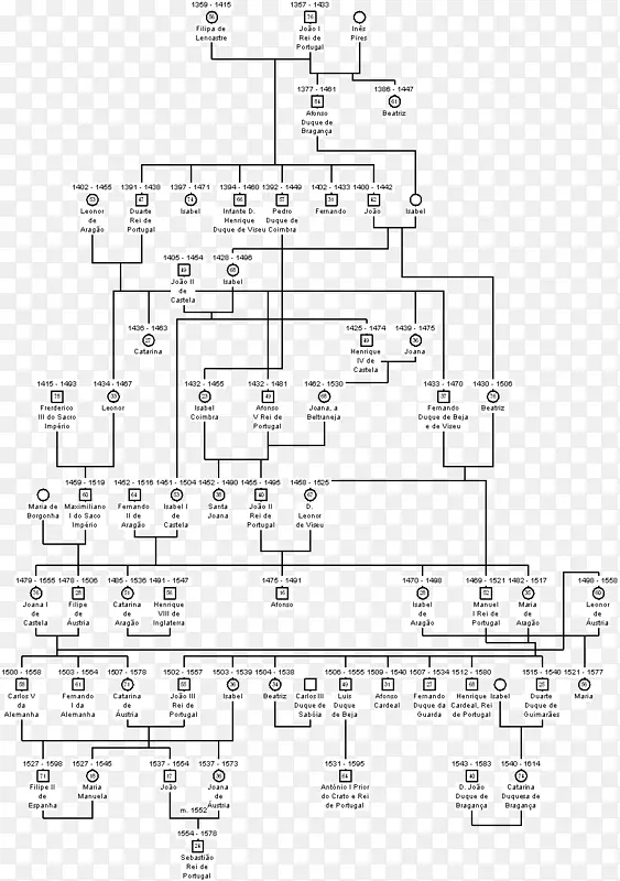 ��������ά�ȹ�����������������¿�˹��������?k csal��df��ja��������-������