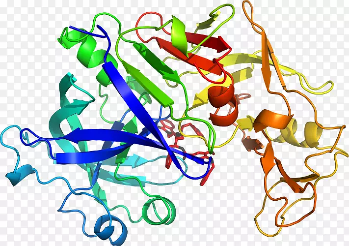 �ߵ������������-������