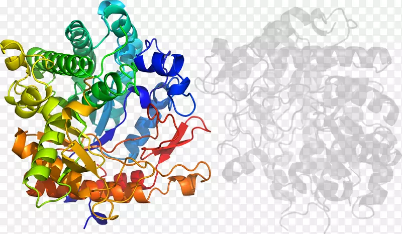 ��ʳ�߼�����-��-������