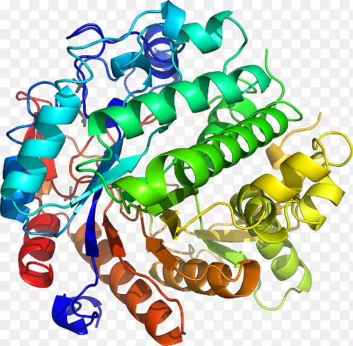���������鱦�л����߼�������-������