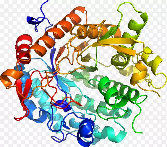 ���������л����߼�������-������