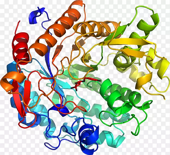 ���������鱦�л����߼�������-������